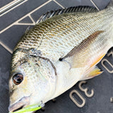 BREAM BUNDLE