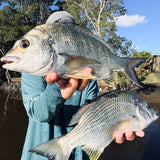 BREAM BUNDLE