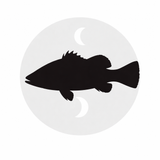 $199 BIG BARRA BUNDLE