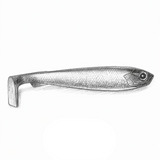 BOMBER SHAD