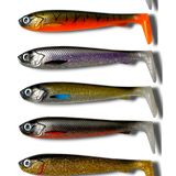 BOMBER SHAD